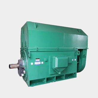 沙湖镇Y7104-4、4500KW方箱式高压电机标准